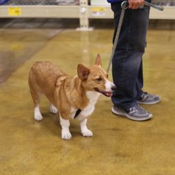 photograph by PeterW